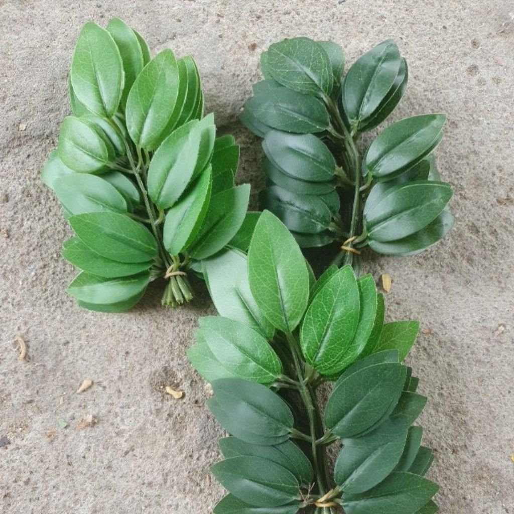 Combo 3 bó (30 lá) lợp lồng bẩy chim.