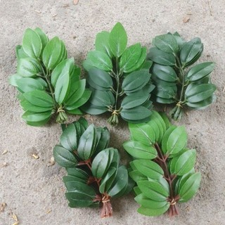 Combo 3 bó (30 lá) lợp lồng bẩy chim.