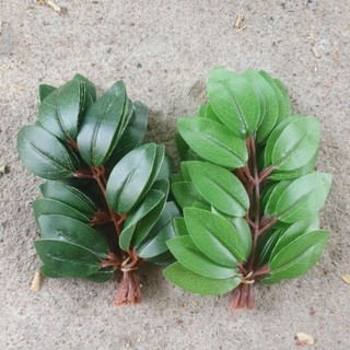 Combo 3 bó (30 lá) lợp lồng bẩy chim.