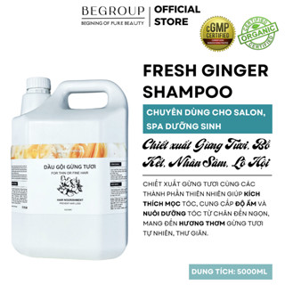  CAN 5 - 10 LÍT  Dầu gội Gừng tươi FRESH GINGER SHAMPOO Chuyên dùng cho Salon Spa dưỡng sinh 