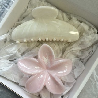 Thời Trang Gradient Plumeria Hoa Sứ Kẹp Tóc Kẹp Tóc Kẹp Barrettes  NOVSET