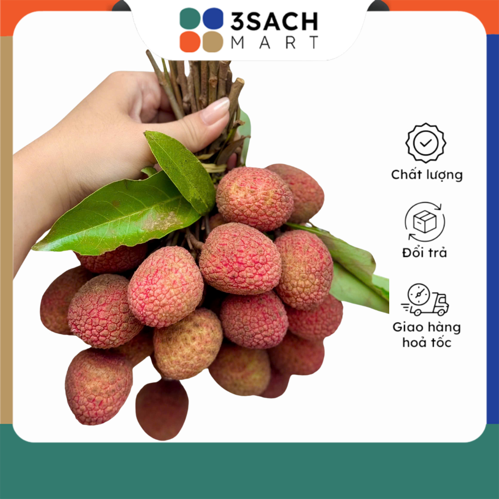 Vải Thiều Lục Ngạn (500g)