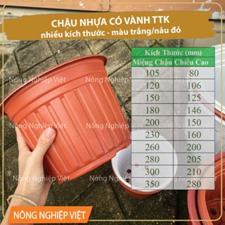   đủ size  20 -50 CÁI CHẬU NHỰA TRỒNG CÂY CÓ VÀNH MIỆNG TTK - CHẬU TRỒNG HOA CÚC HOA VẠN THỌ TẾT 