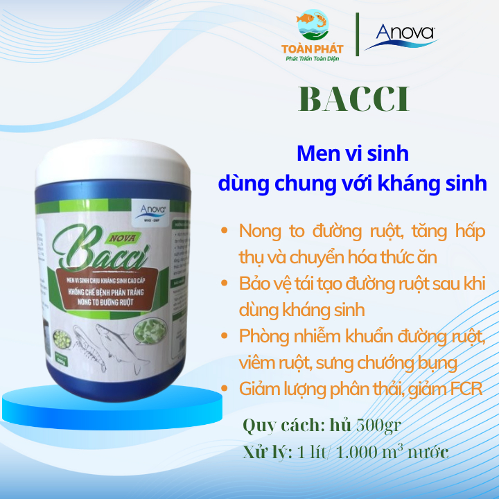 [HÀNG XỊN] ANOVA BACCI - Men vi sinh đường ruột chịu khá.ng sinh, hộp 500gr