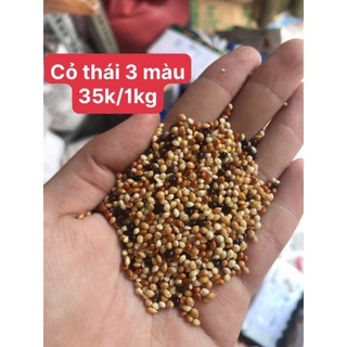  SỈ 5kg Cỏ Thái mix 4 loại hạt cho chim cu gáy yến phụng các loại vẹt 