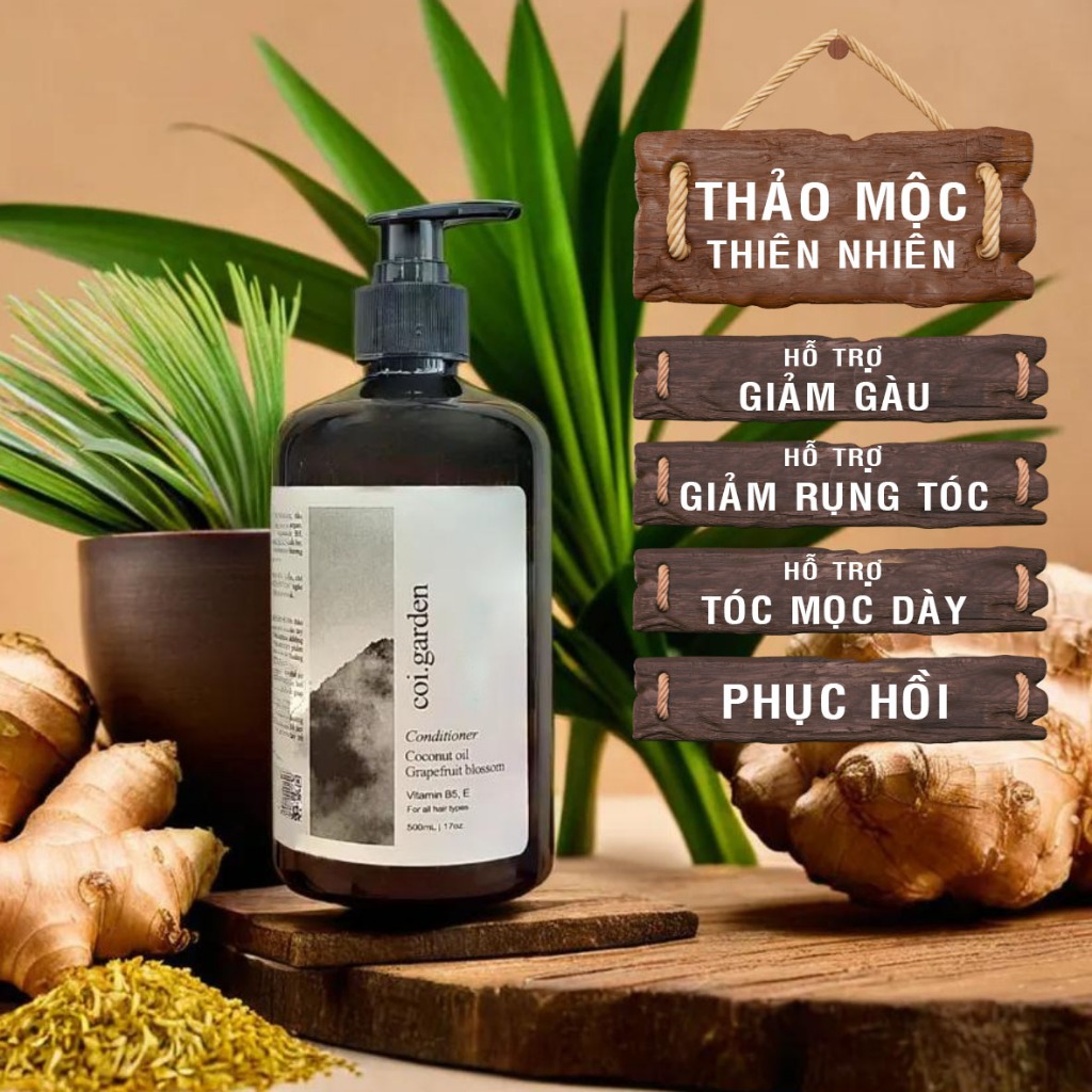  Dầu gội hỗ trợ giảm gàu nấm ngứa gừng trắc bá diệp VƯỜN NHÀ CỘI hỗ trợ mọc tóc giảm rụng tóc nuôi dưỡng nan tóc 