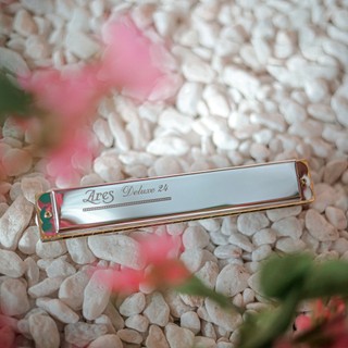 Kèn Harmonica Cao Cấp ARES