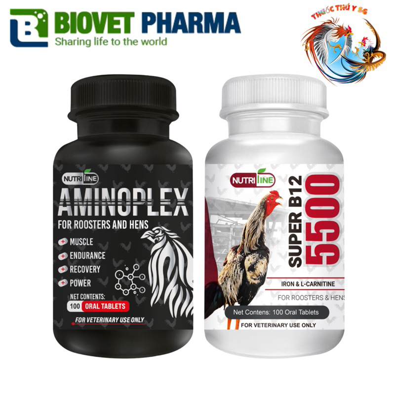 COMBO AMINOPLEX + SUPER B12 5500 Biovet Pharma for Rooster - Nhập khẩu USA - 100 Tablets