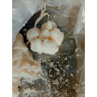 bột ủ bún chua thơm câu cá tra