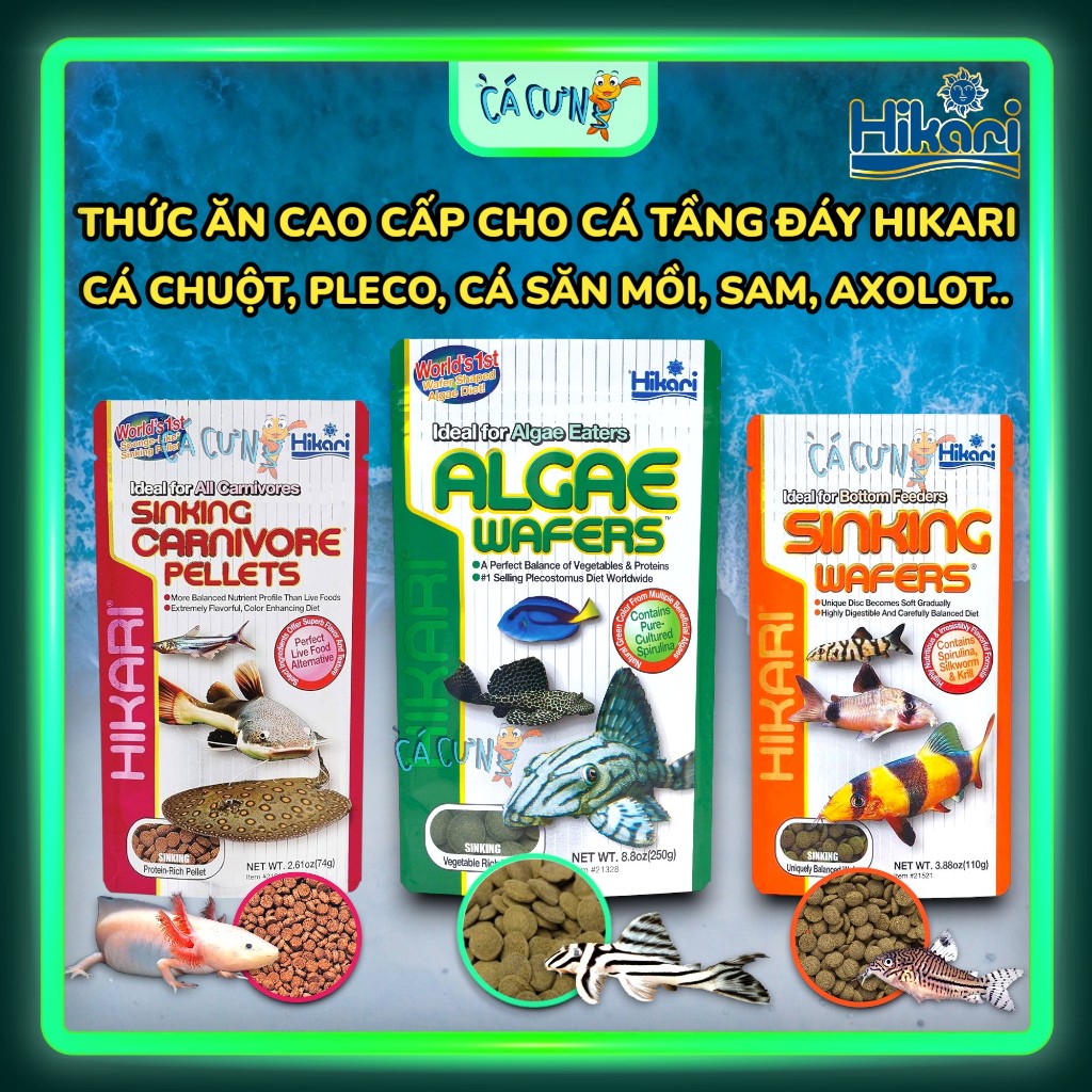 Thức ăn cá tầng đáy HIKARI - Cám chìm cao cấp cá pleco, cá chuột, sam, cá săn mồi (HÀNG CÔNG TY)