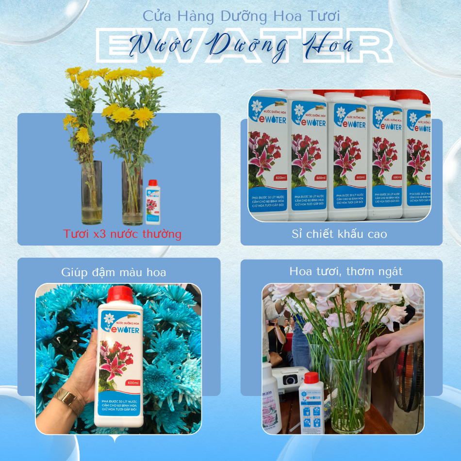 Nước cắm hoa tươi lâu Ewater 5 chai 600ml đậm đặc, nước dưỡng hoa tươi lâu dành cho mọi loại hoa