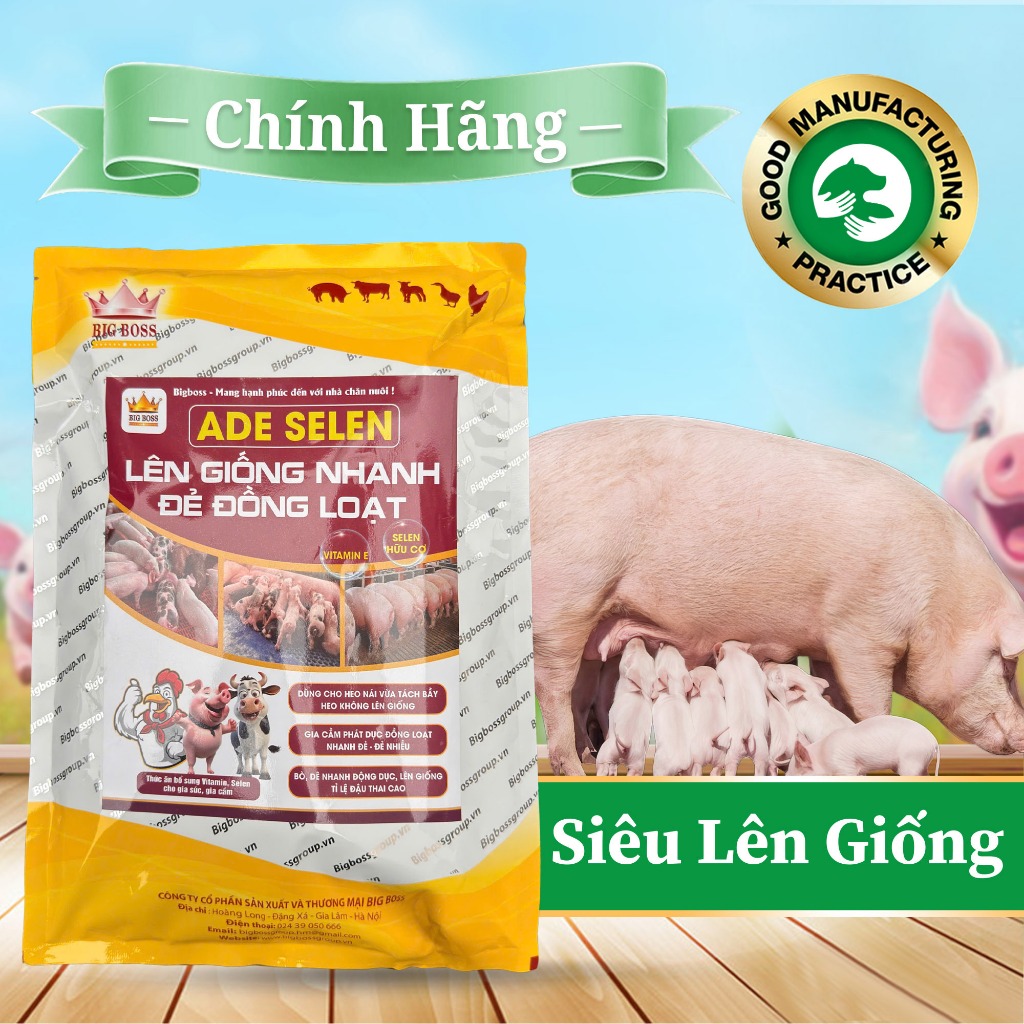 Lên Giống Nhanh BIGBOSS Giúp Heo Mau Lên Giống, Gia Cầm Đ,ẻ Nhanh, Nhiều, Chất lượng 1Kg