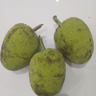 1kg trái sake tươi