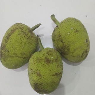 1kg trái sake tươi