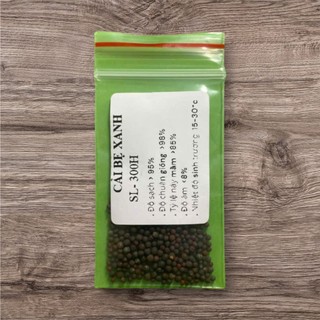 🥬 Deal Tiết Kiệm – 300 Hạt Giống Cải Bẹ Xanh F1 Chất Lượng Cao 🥬 ✅ Cây mập mạp, lá xanh đậm – ✅ Kháng bệnh tốt