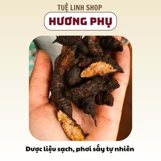 Củ gấu - hương phụ - cỏ cú – Dược liệu sạch phơi sấy tự nhiên