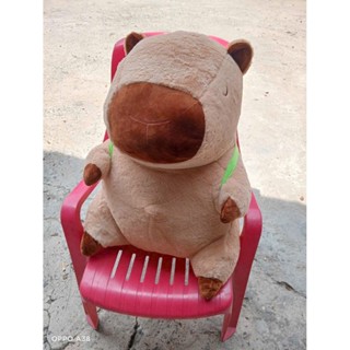 Gấu Capybara đeo rùa 70cm