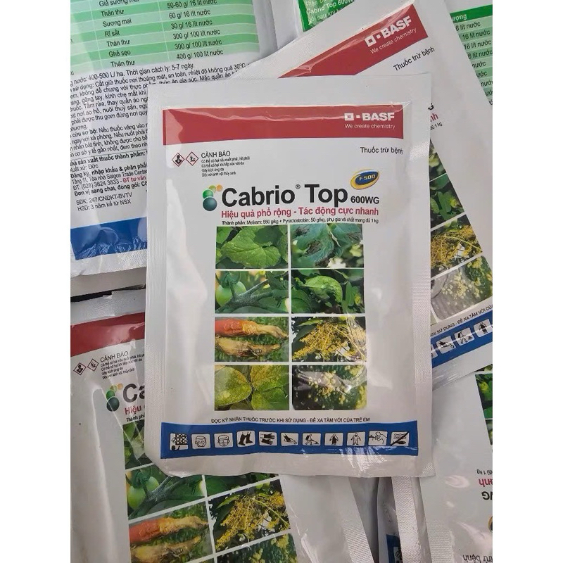 Cabrio Top 600  Dưa hấu bị sương mai-Dưa leo bị sương mai
