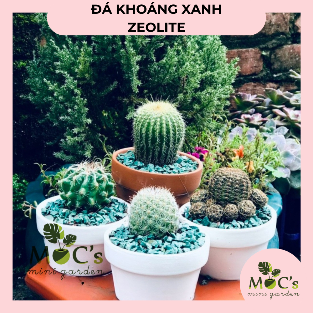 (Kg) Đá Khoáng Xanh Zeolite - Nhiều Kích Thước || Mocminigarden