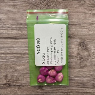 🌽 Deal Tiết Kiệm –10 Hạt Giống Ngô Nù Cổ Truyền, Ngọt Mềm, Dễ Trồng 🌽 ✅ Hạt ngô trắng tròn – ✅ Vị ngọt thanh, mềm thơm