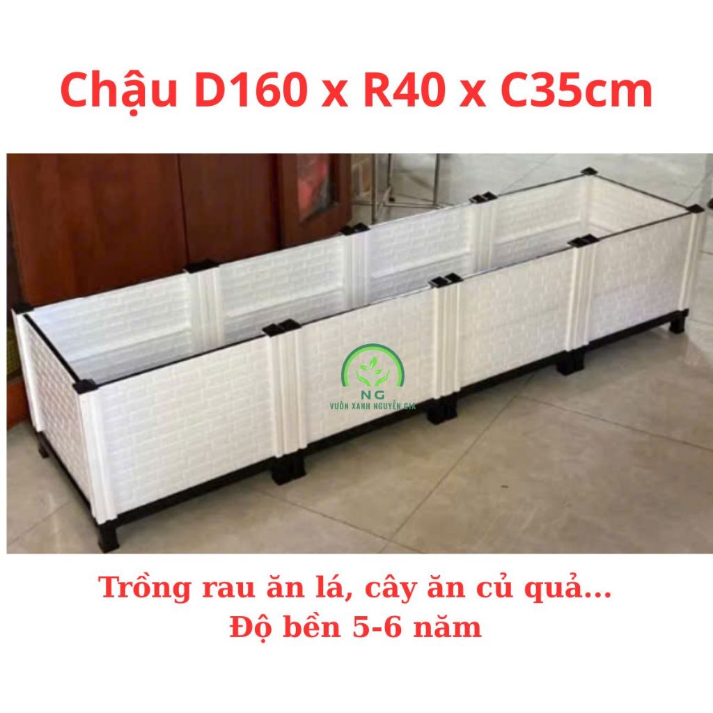 Chậu ghép trồng cây D160xR40xC35cm (Vách cao 26cm) trồng rau ăn lá, dây leo ăn quả...