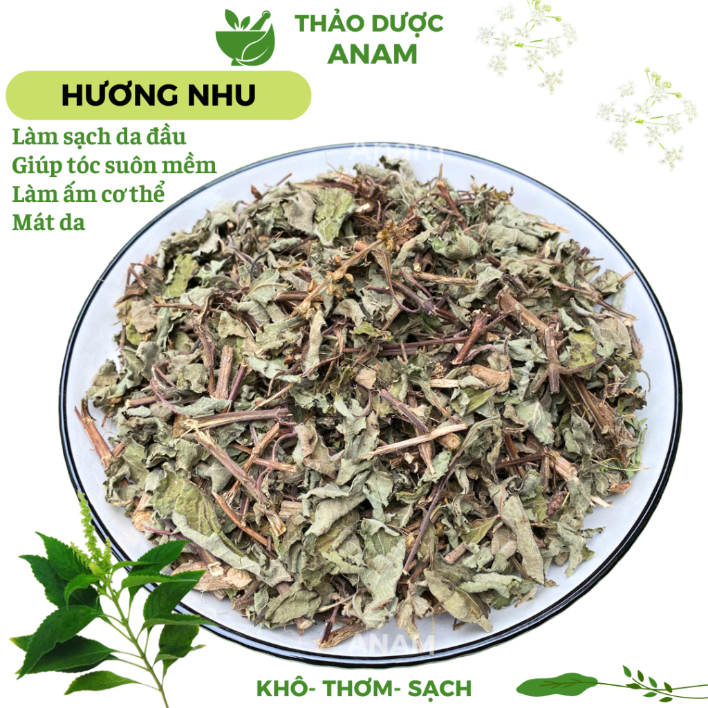 Cây hương nhu khô gội đầu chăm sóc tóc suôn mềm sạch thơm làm lá tắm lá xông giải cảm HN Thảo dược Anam