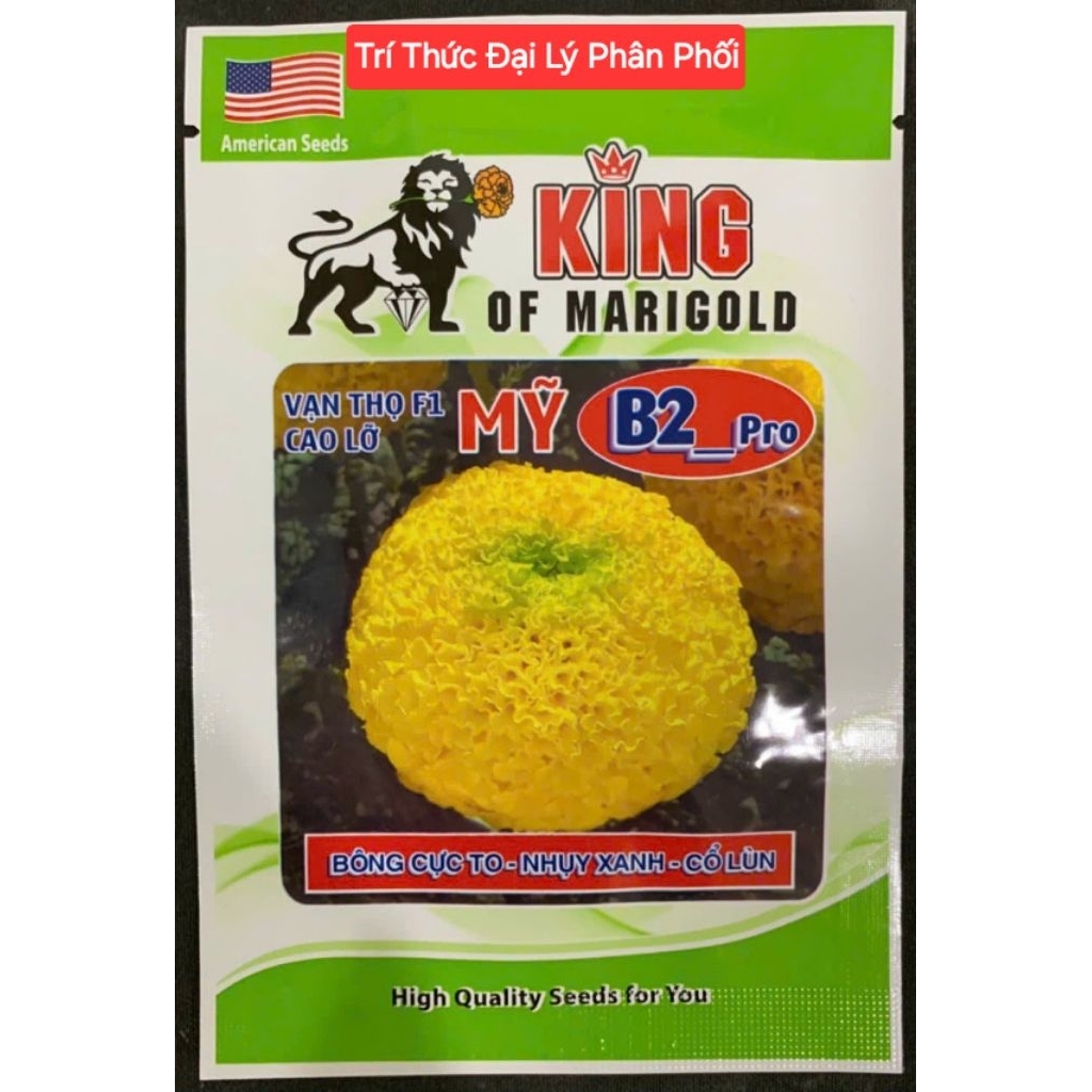 Hạt giống hoa vạn thọ Sư Tử B2 Pro bông vàng chanh cực to, nhụy xanh, cổ lùn, gói 1g (300-400 hạt)