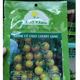 Hạt giống cà chua cherry vàng