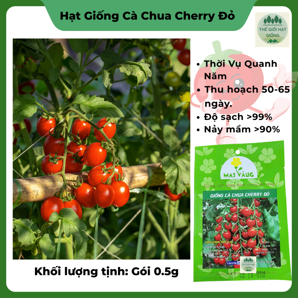 [Gói 0.5g] Hạt giống Cà Chua cherry đỏ