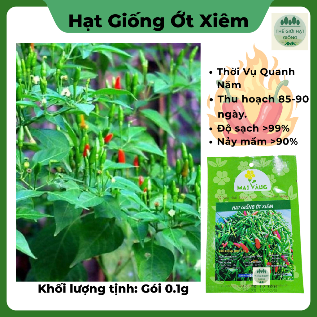 Hạt giống ớt xiêm siêu cay năng suất