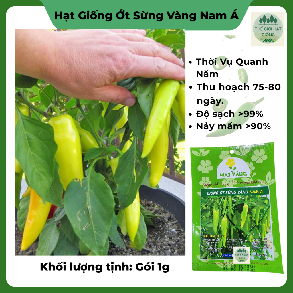 [Gói 1g] Hạt giống ớt sừng vàng Nam Á