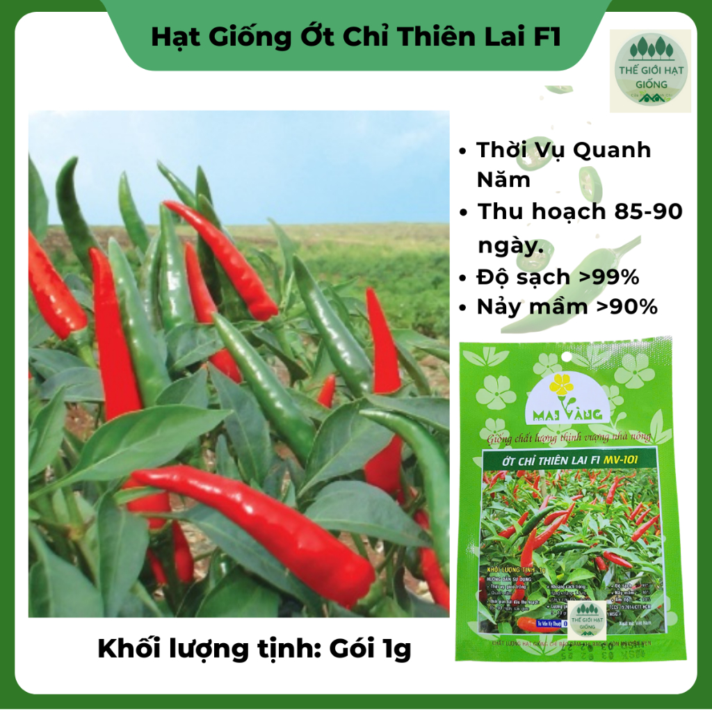 Hạt giống ớt THIÊN LAI