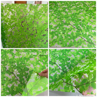 Decal dán kính lá xanh khổ 90cm