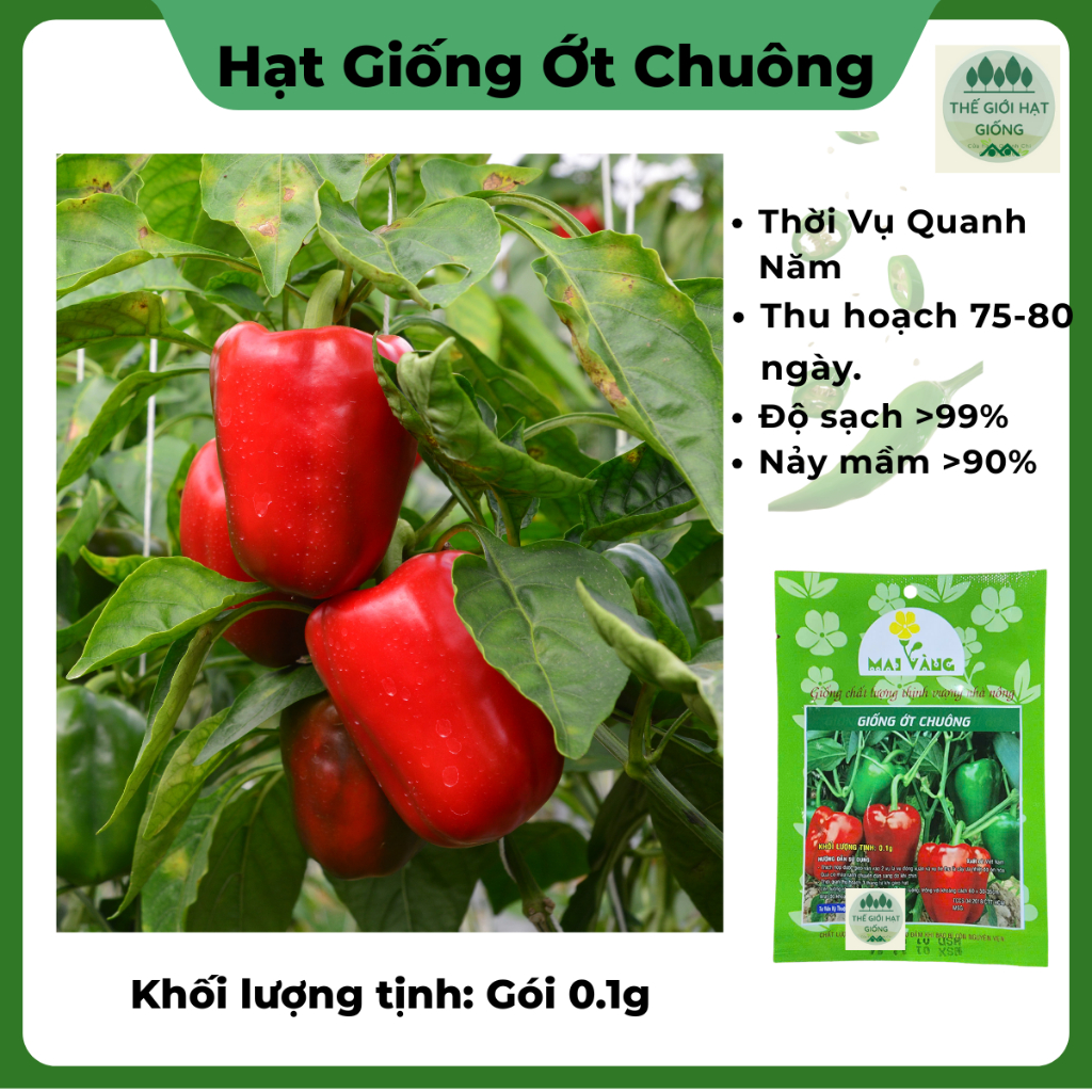 [gói 0.1g] Hạt Giống Ớt Chuông Sai Trái