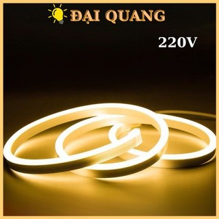  Dây Led Neon 220V cao cấp  1M -10M  đã gồm nguồn dây Led chống nước trang trí nội ngoại thất 