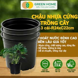 Bộ 3 Chậu Trồng Cây GreenHome, 24x22cm, Nhựa Cứng, Nhiều Kích Thước Trồng Cây, Hoa, Kiểng Lá