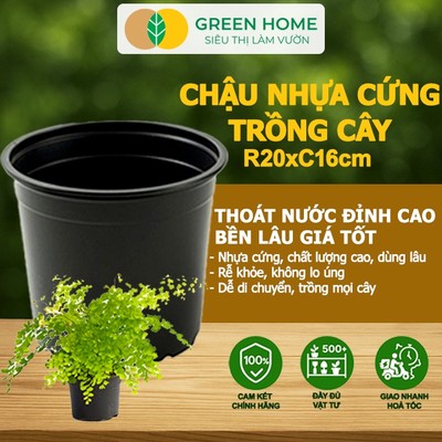 3 Chậu Trồng Cây GreenHome, 20x16cm, Nhựa Cứng, Bền, Thoát Nước Tốt, Trồng Cây, Hoa, Kiểng