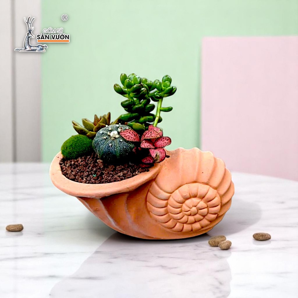 Chậu Gốm Đất Nung Hình Vỏ Ốc Xoắn - Gốm Sứ Sân Vườn - GSSV
