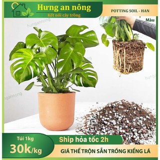 Túi 1kg - giá thể trộn sẵn trồng các loại cây kiểng lá Monstera Potting Soil HAN - xem trong mô tả