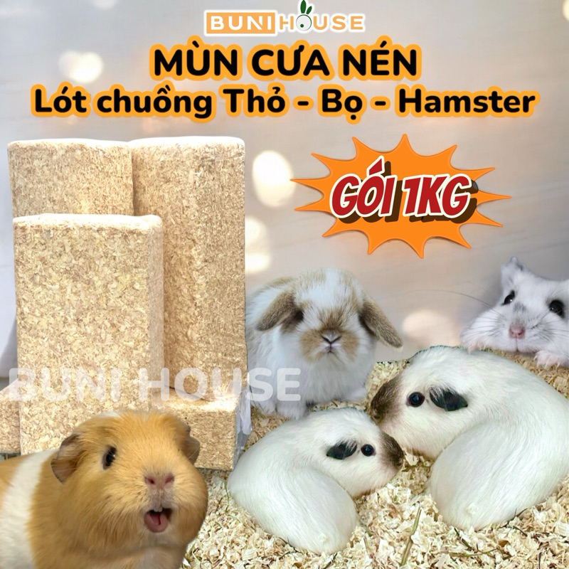 Mùn cưa dăm bào lót chuồng Thỏ Bọ ú Nhím Hamster - 1kg Mùn cưa gỗ thông tự nhiên an toàn thấm hút khử mùi Bunihouse