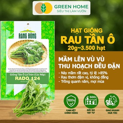 Hạt Giống Rau Tần Ô GreenHome, Gói 20g~3500 hạt, Cải Cúc Dễ Trồng, Thu Hoạch Nhanh,Năng Suất Cao R02
