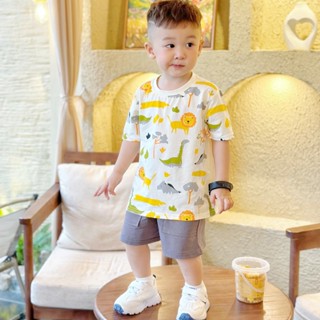 [Tiến Yến Kids] Bộ đồ bé trai áo thun sư tử khủng long + quần xám túi hộp, size 8–30kg
