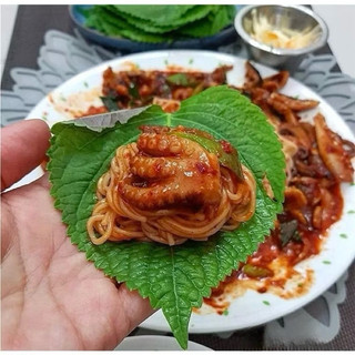 Cây lá mè hàn quốc (ảnh thật số 2 )