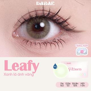 Kính áp tròng DABAE lens mắt màu xanh lá ánh vàng 3 tháng DIA 14mm có độ 0-8 LEAFY