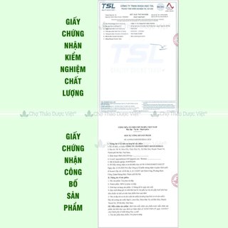 Phan tả diệp 100g, lá phan tả diệp khô, sạch, không vụn, không lẫn tạp chất - Chợ Thảo Dược Việt