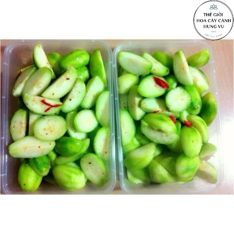 Cây cóc thái đã có hoa (ảnh thât).