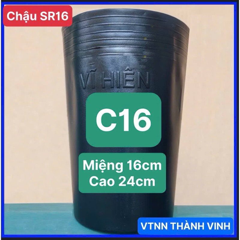 Combo 20 Chậu Sầu Riêng C16 ( Miệng 16cm x Cao 24cm ) Hàng Dày , Chậu Trồng Cây