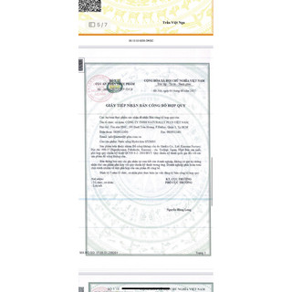 conbo 10 túi izumio date 4/2027