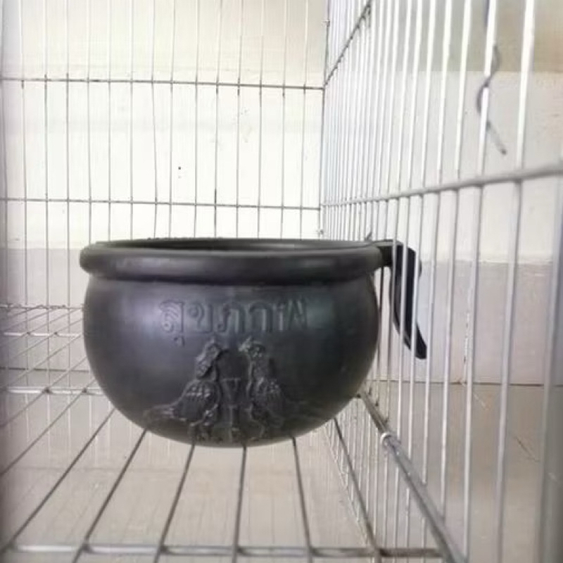 combo 10 gáo cao su cho gà ăn, gáo gà uống nước