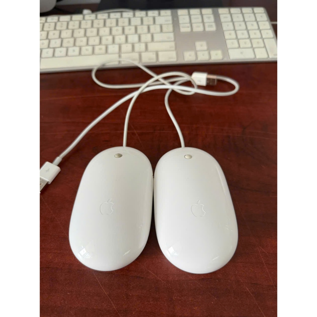 Chuột Mighty Mouse- Chính hãng | BigBuy360 - bigbuy360.vn